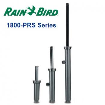 Rain Bird 1800-PRS Spray Bodies with Pressure Regulator